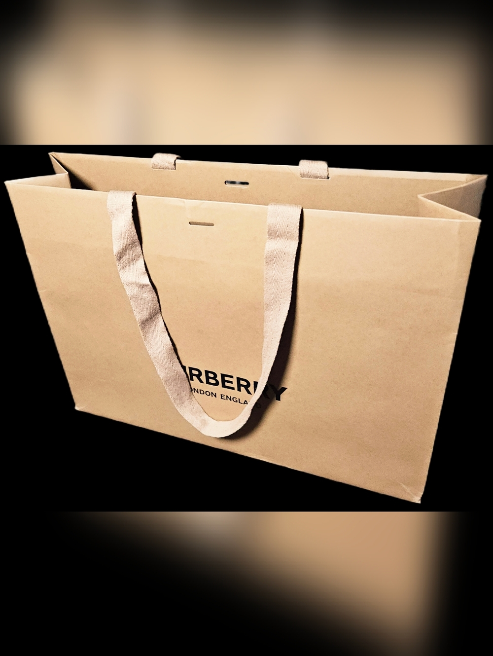 NEW Burberry XL Large Brown Paper Shopping Bag 16.5" Gift Tote Handbag Storage